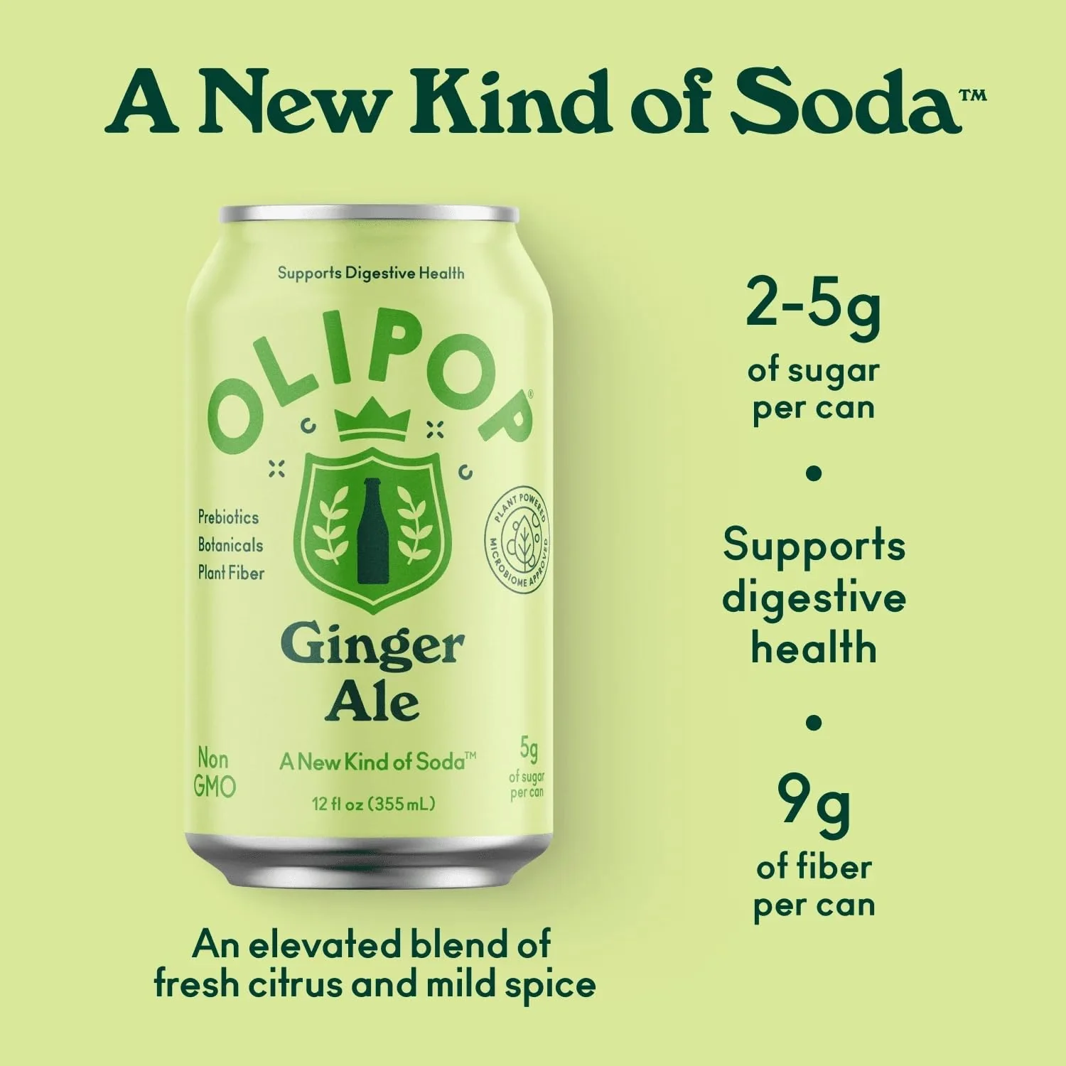 Ginger Ale Soda (4 CT) - Image 2