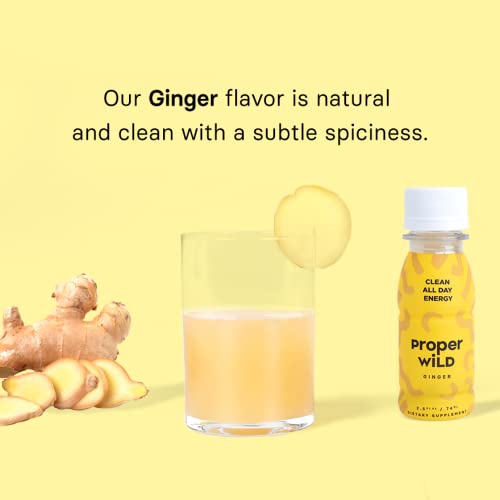 Ginger Energy Shot (12 Pack) - Image 3