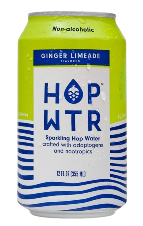 Ginger Limeade (6 Pack) - Image 2