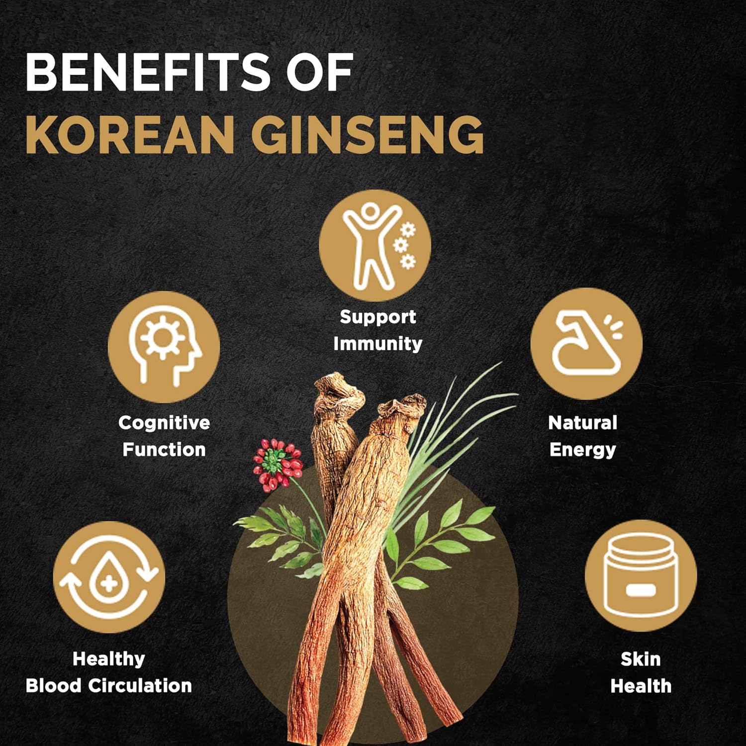 Ginseng Immune - Image 3