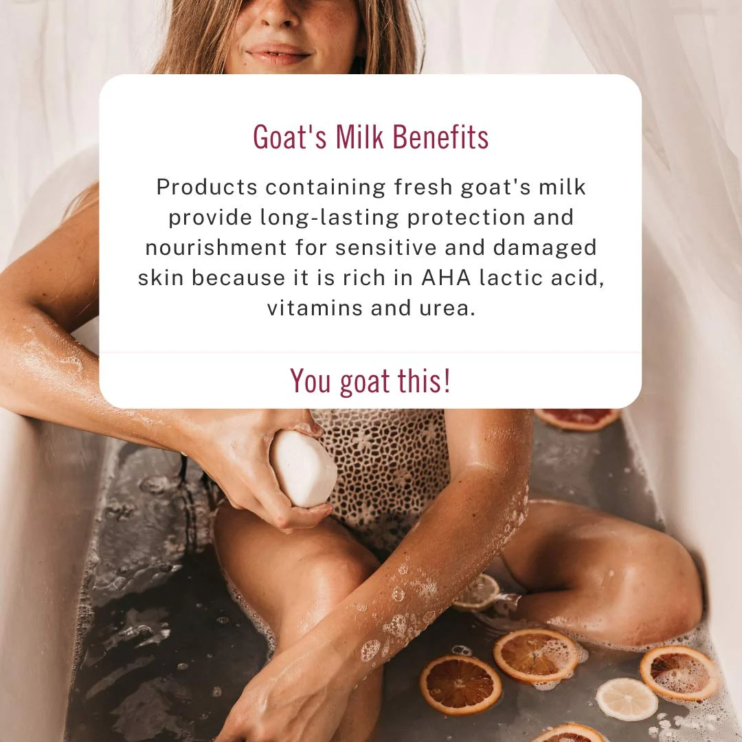 Goat's Milk Bar Soap - Lavender Oil - Image 2