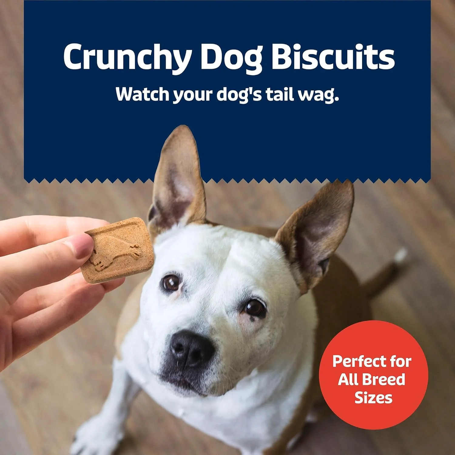 Health Bars Natural Crunchy Dog Treats - Bacon, Egg & Cheese Flavor - Image 5