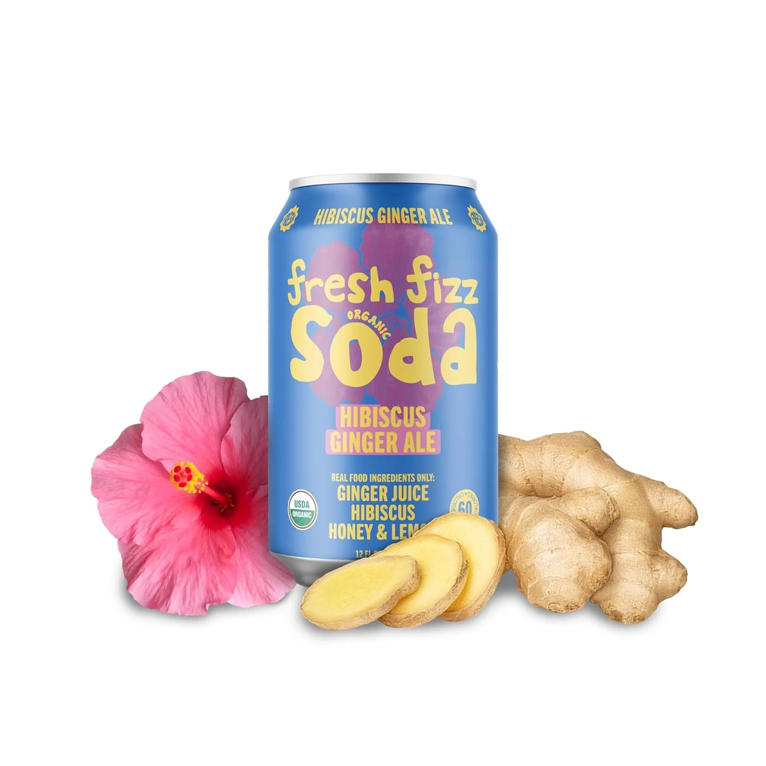 Hibiscus Ginger Ale (12 CT) - Image 3