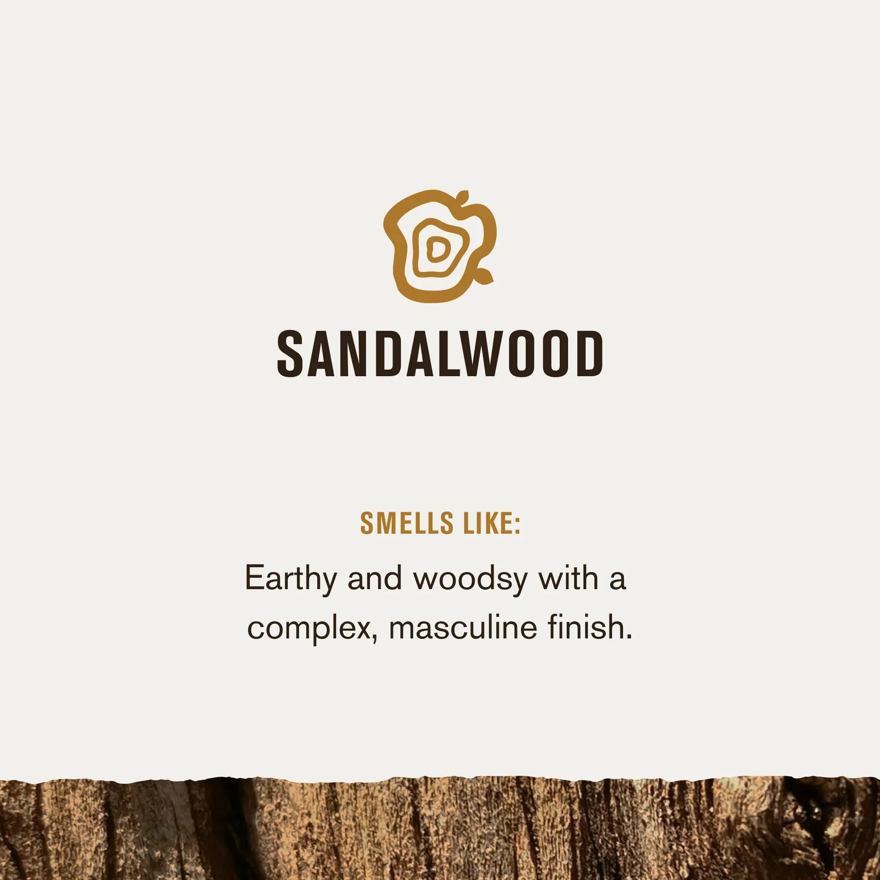 Hydrating Sandalwood 3-in-1 All Over Wash Shampoo, Conditioner, & Body Wash - Image 4