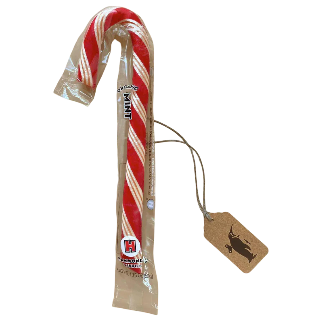 Jumbo Candy Cane - Peppermint