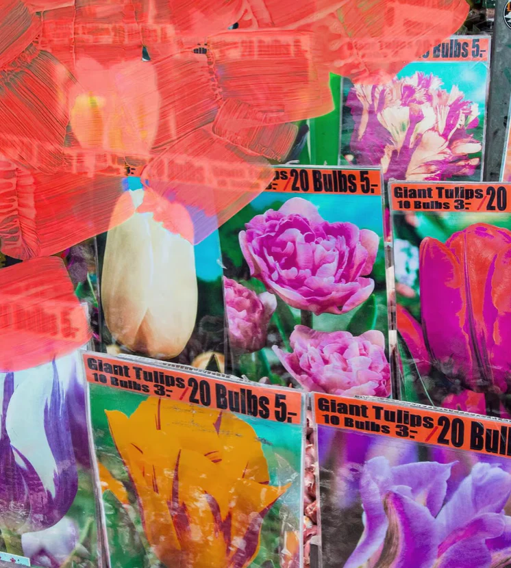 La Tulipe EDP - Image 3