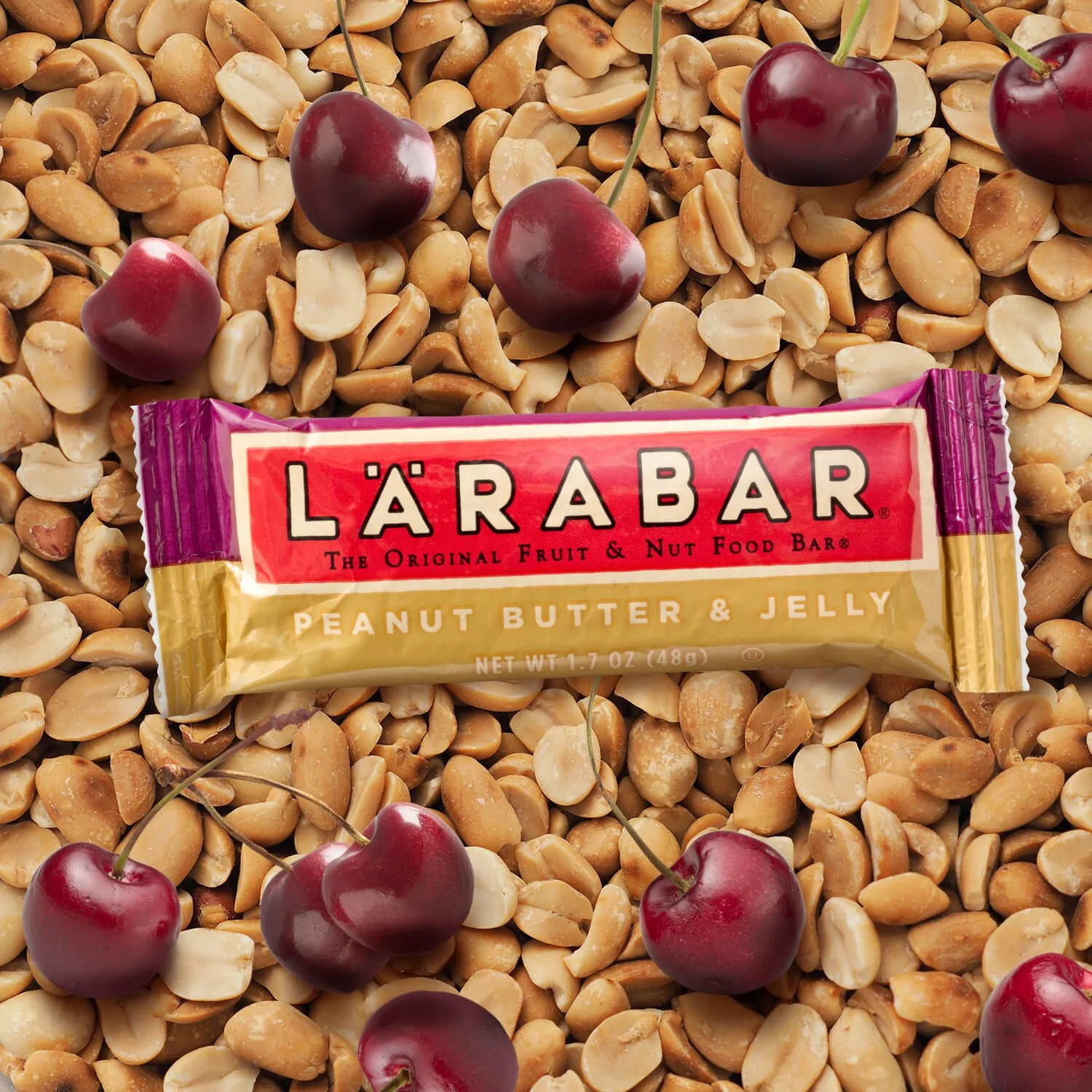 Peanut Butter Jelly Fruit & Nut Bar (16 Pack) - Image 2