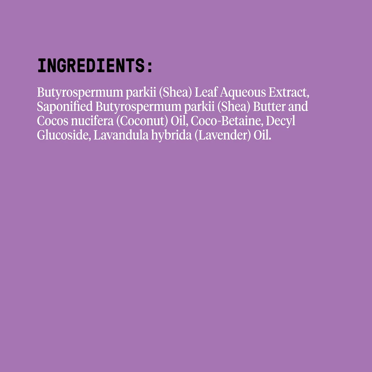 Lavender Everyday Shea Shampoo - Image 4