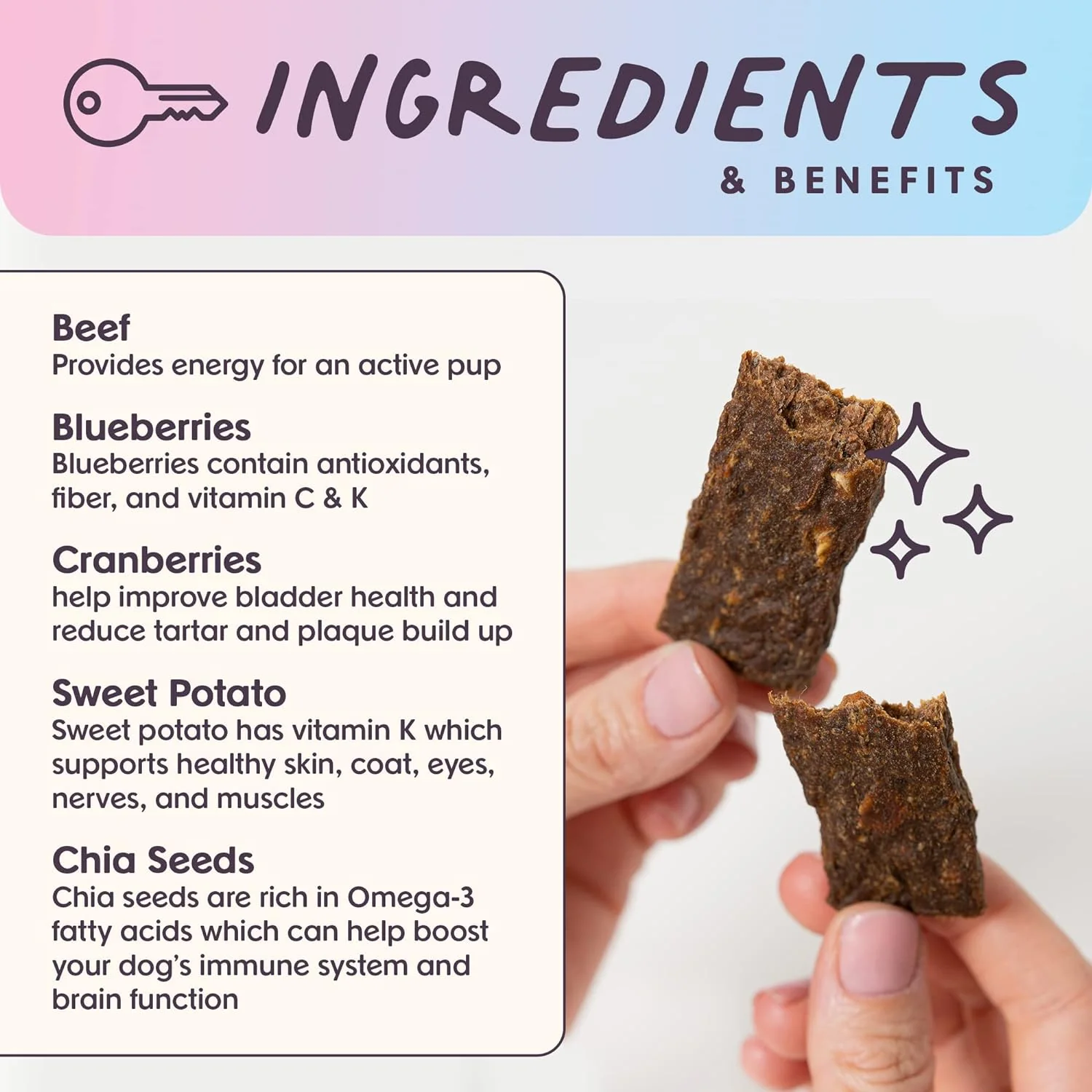 Leash & Load Beef Superfood Jerky Dog Bars - Image 2