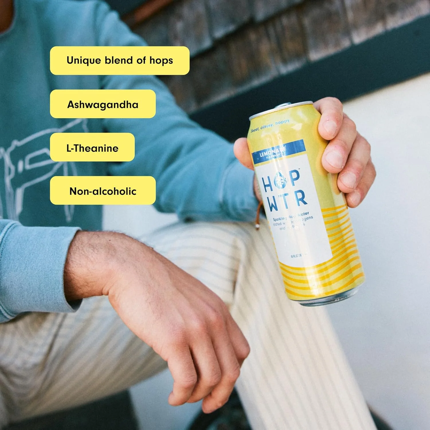 Lemonade Sparkling Hop Water (12 Pack) - Image 2