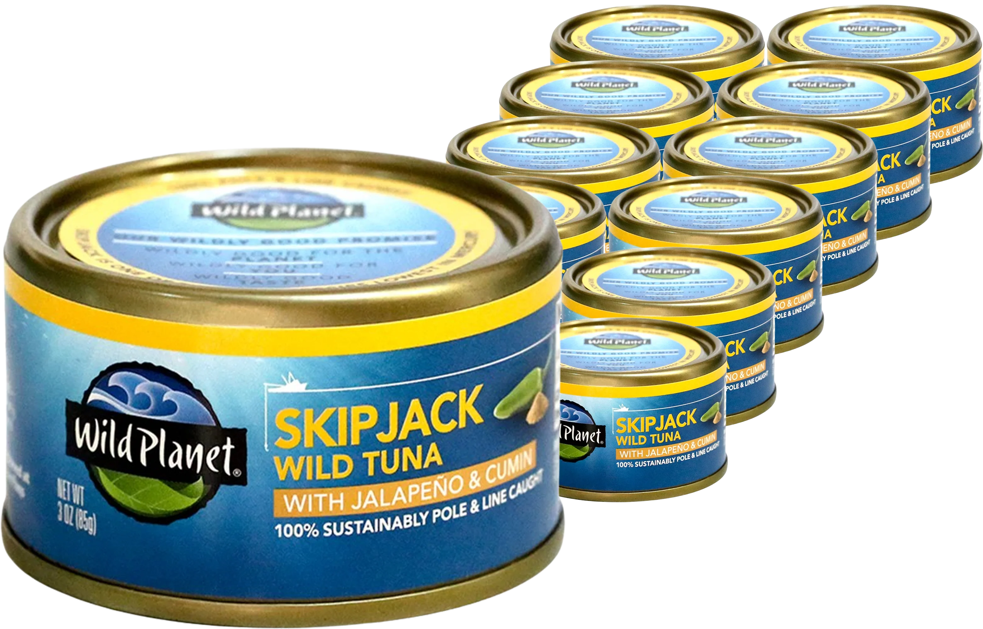 Light Tuna with Jalapeno & Cumin (12 Pack)