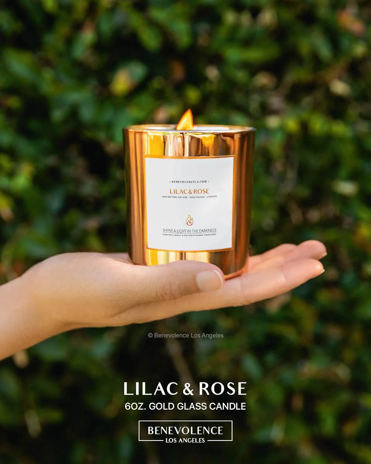 Lilac & Rose - Gold Glass Candles - Image 2