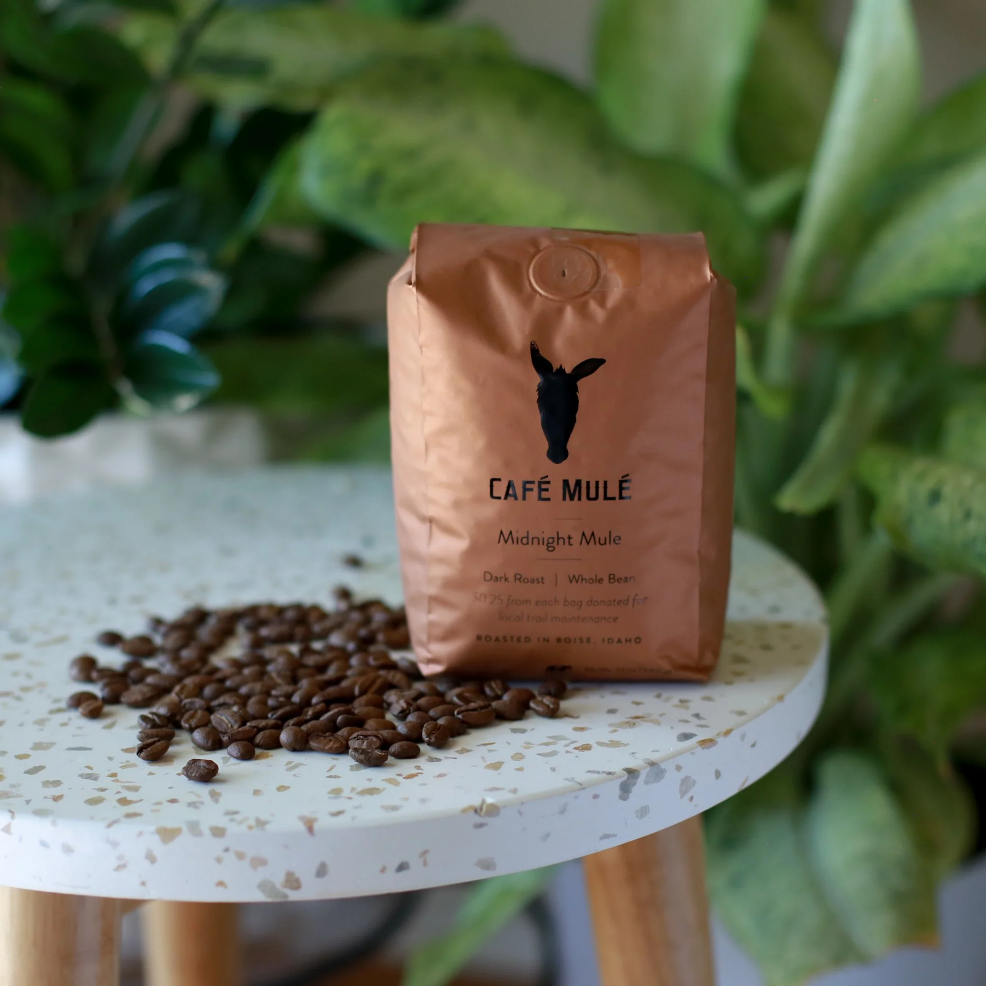 Midnight Mule Coffee - Image 3