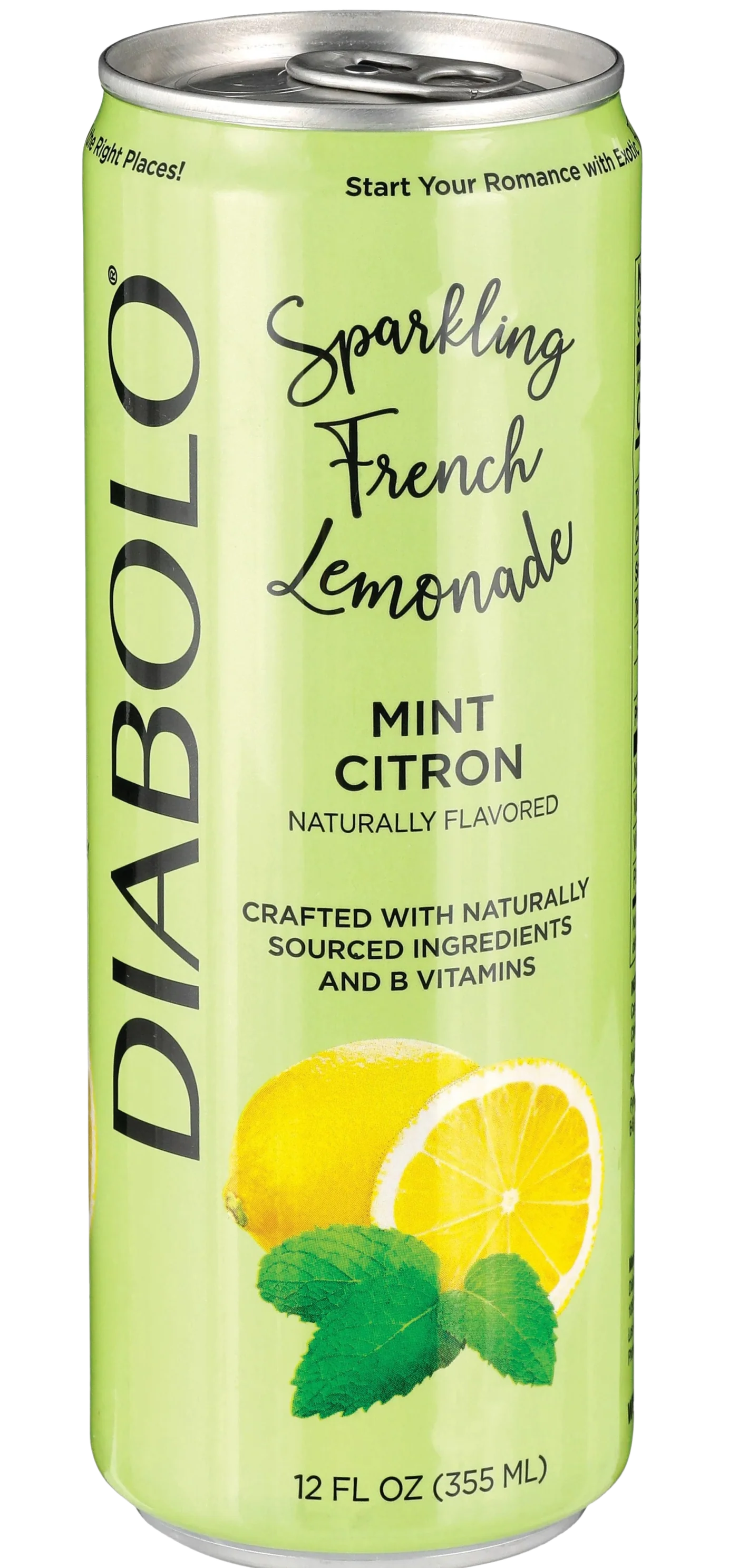 Mint Citron Sparkling French Lemonade - Image 2