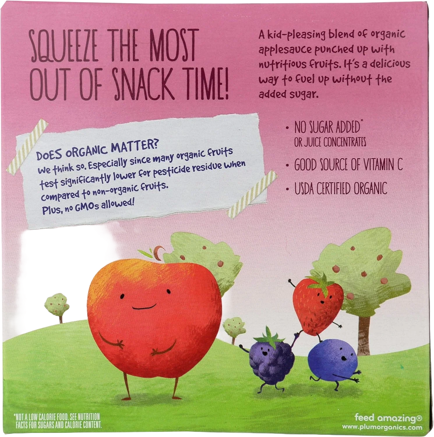 Mixed Berry Mashups (4 Pack) - Image 2