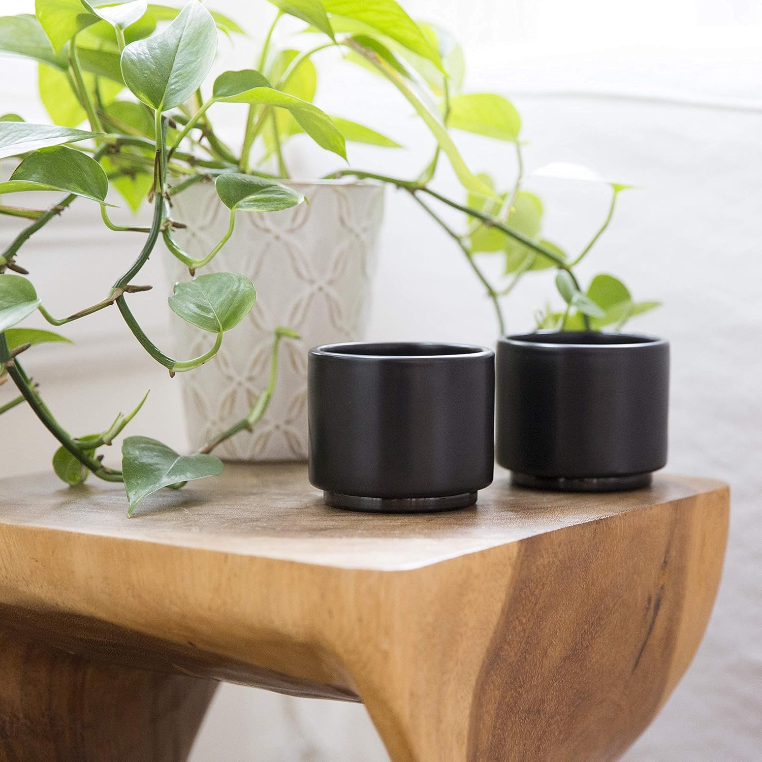 Monty Milk Art Espresso Cups (Set of 2) - Black - Image 4