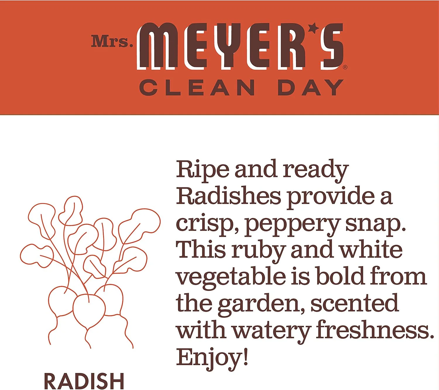Liquid Dish Soap - Radish - Image 3