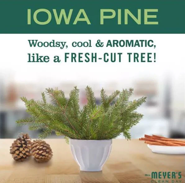 Multi Purpose Cleaner - Pine - Image 3