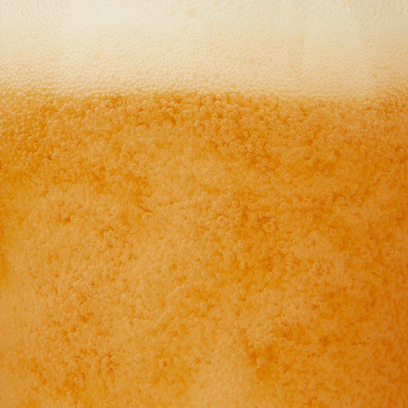 Non-Alcoholic Kingston Golden Pilsner (6 CT) - Image 6