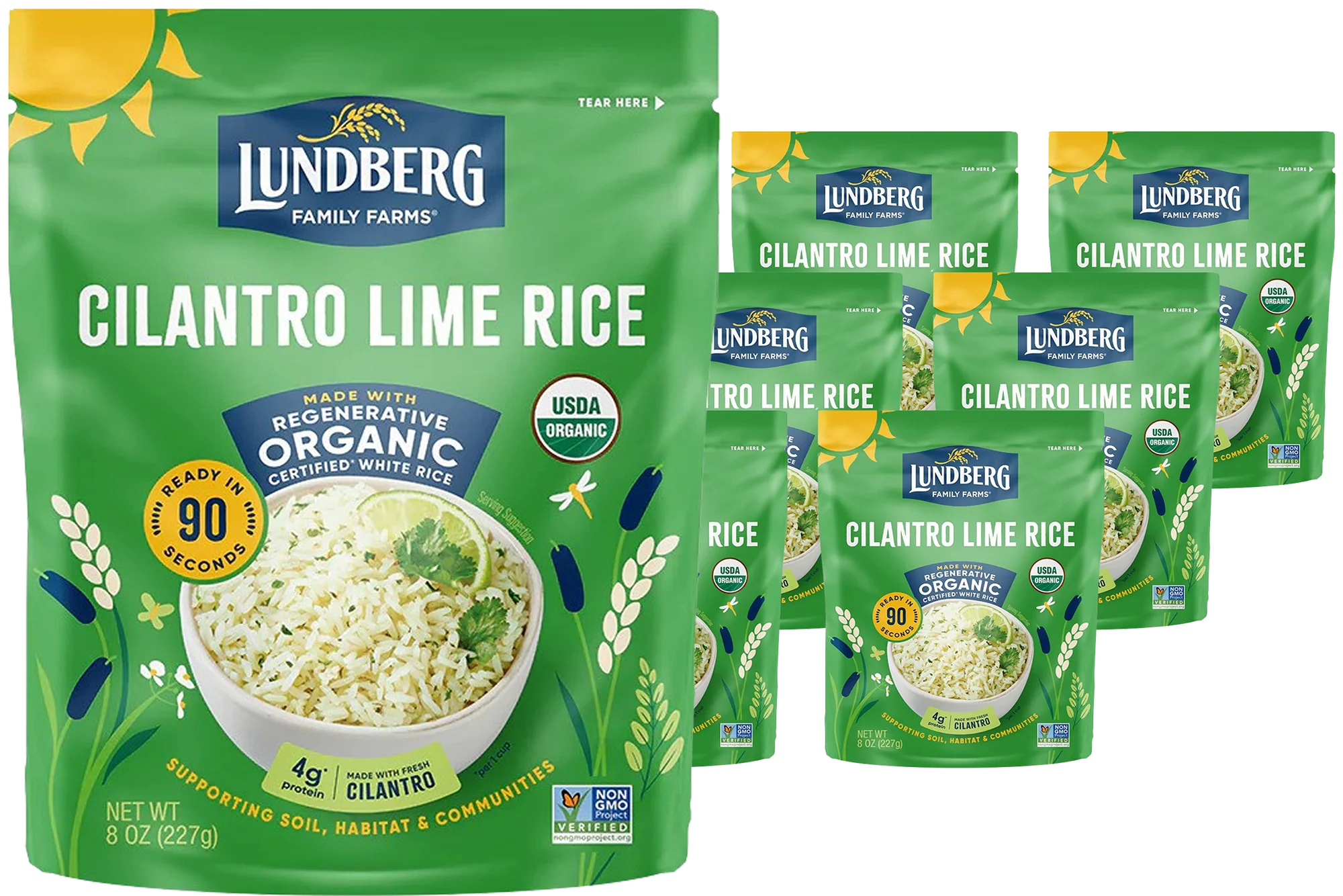 Organic 90-Second Cilantro Lime Rice (6 Pack)