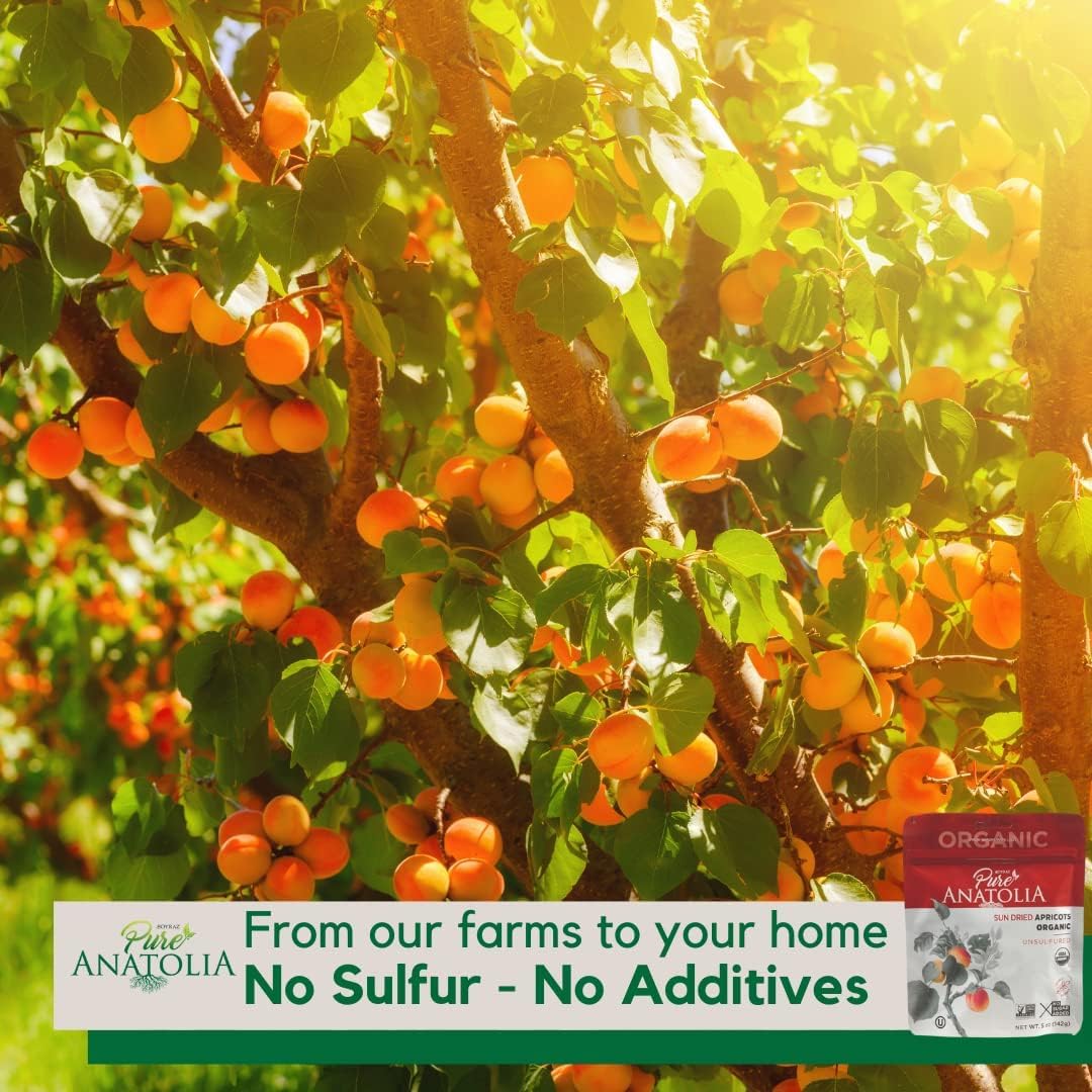 Organic Apricot Sun Dried - Image 2