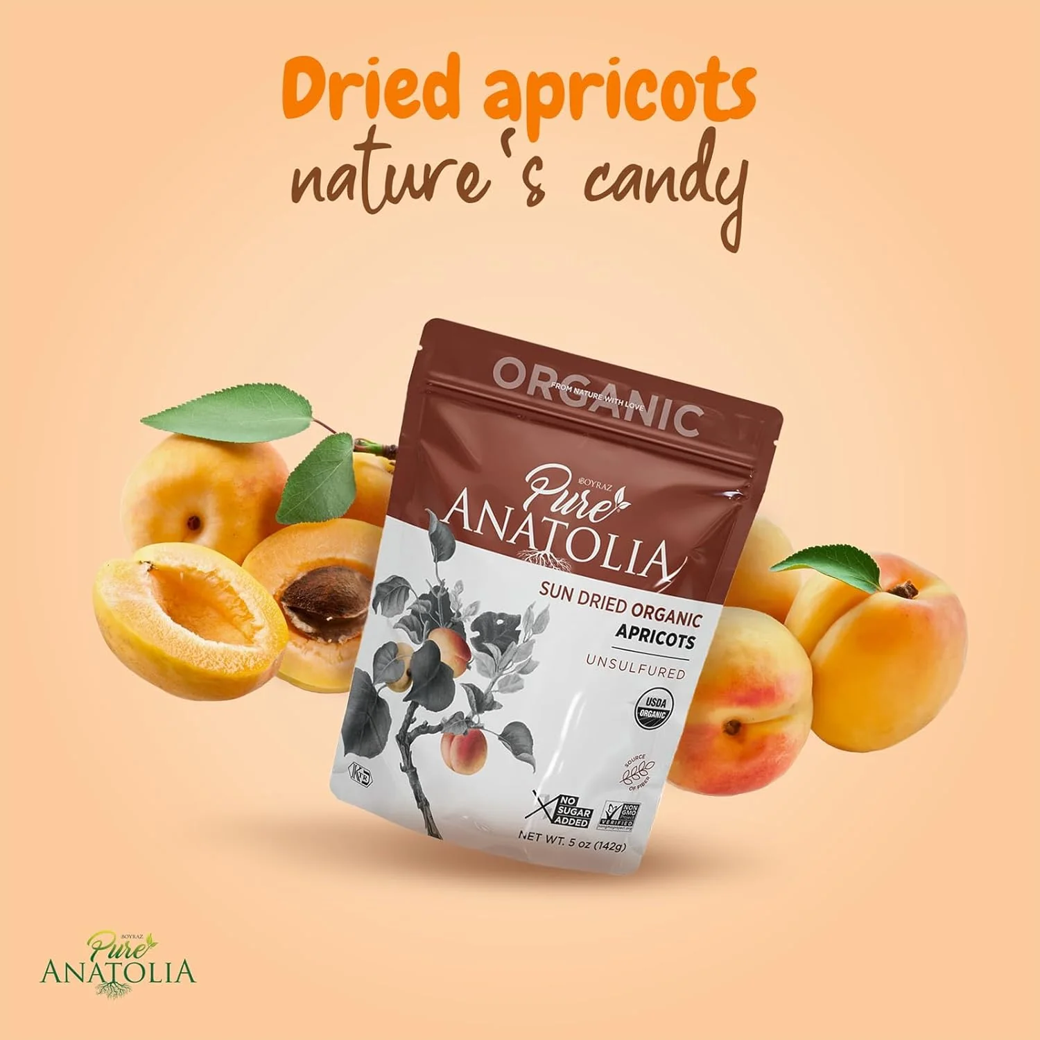 Organic Apricot Sun Dried - Image 3