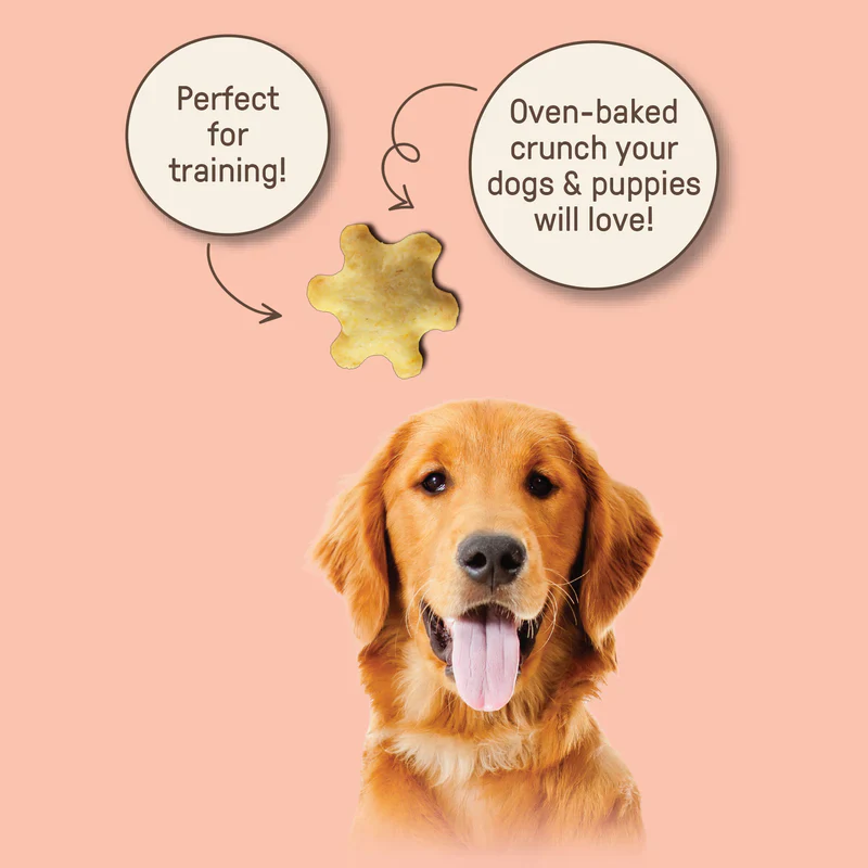 Organic Chicken Flavor Cracker - Image 3