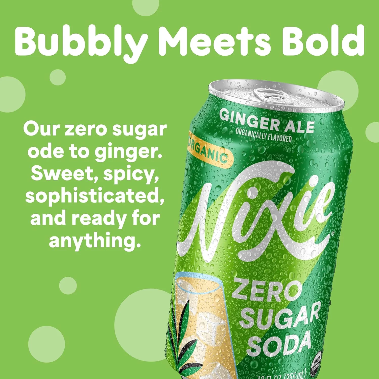 Organic Ginger Ale Zero Sugar Soda (12 Pack) - Image 3