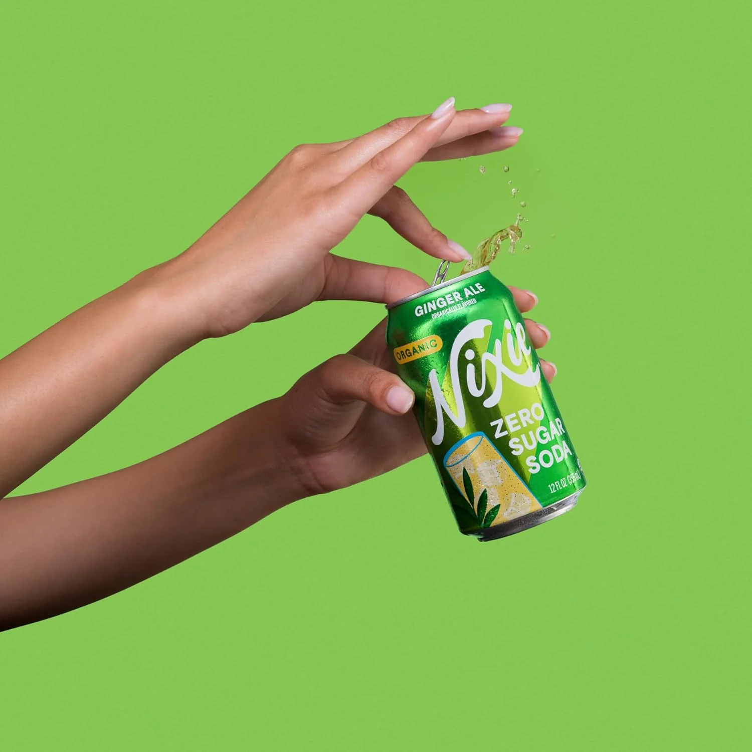 Organic Ginger Ale Zero Sugar Soda (12 Pack) - Image 4
