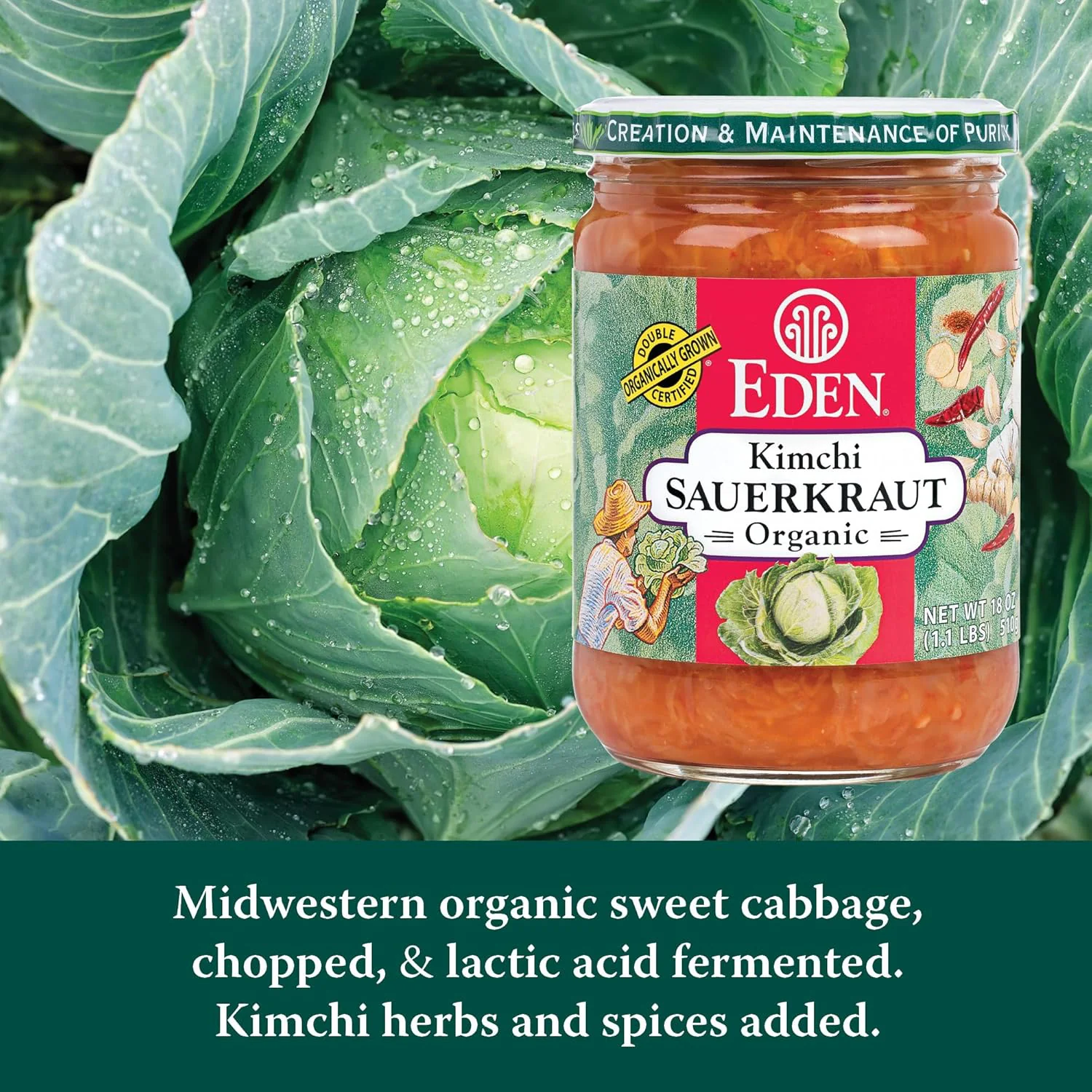 Organic Kimchi Sauerkraut - Image 2
