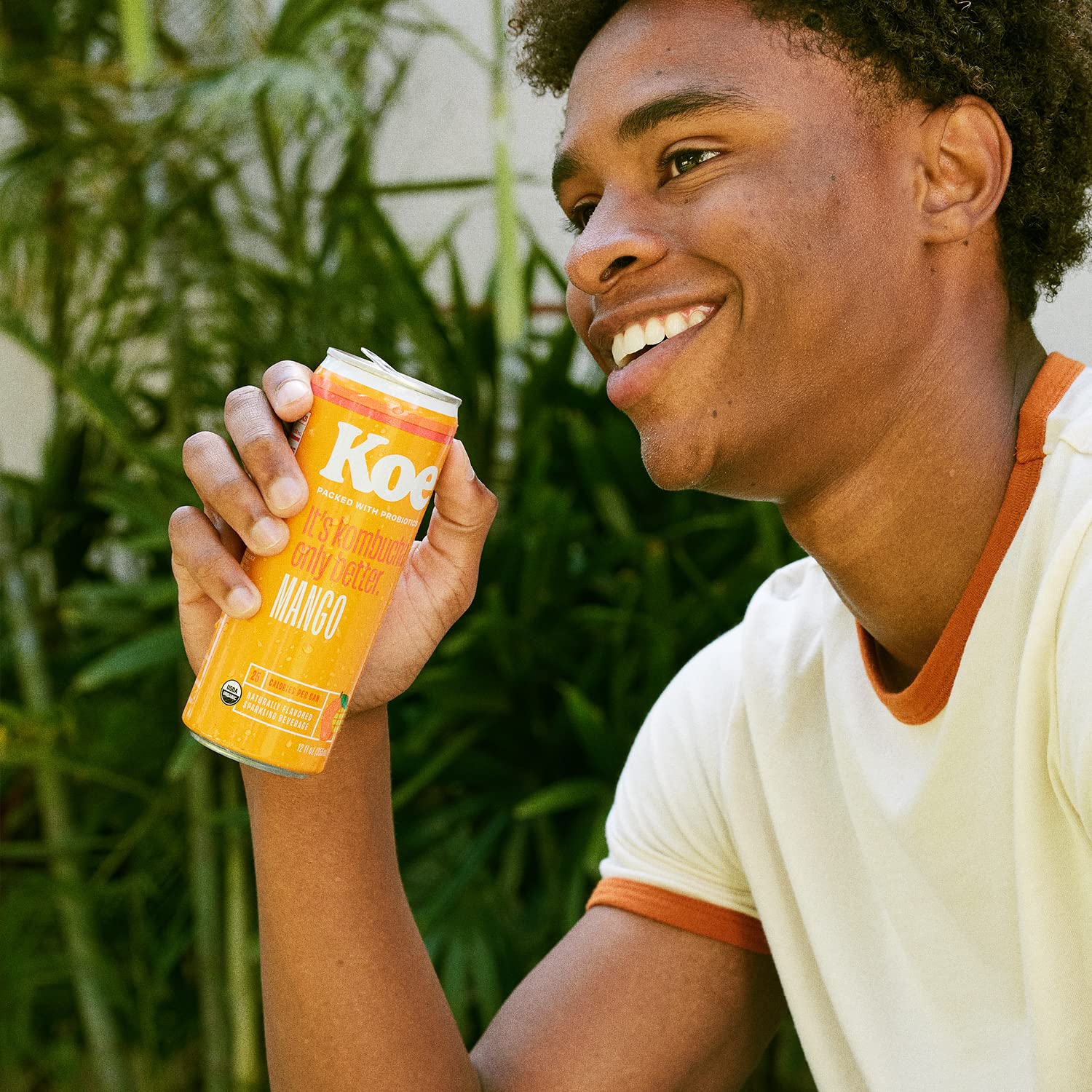 Organic Mango Kombucha (12 Pack) - Image 4