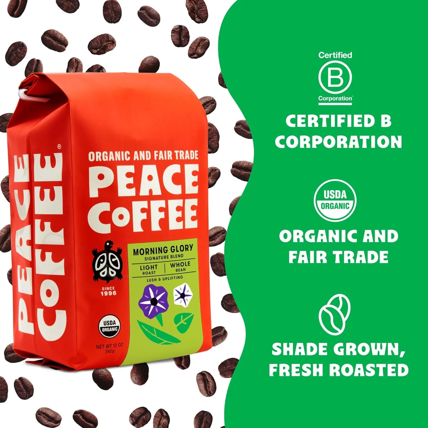 Organic Whole Bean Morning Glory Light Roast Coffee - Image 3