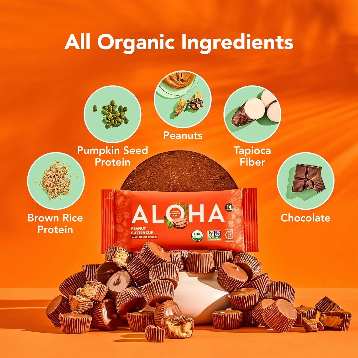 Organic Peanut Butter Chocolate Chip Protein Bars (12 CT) - Image 3