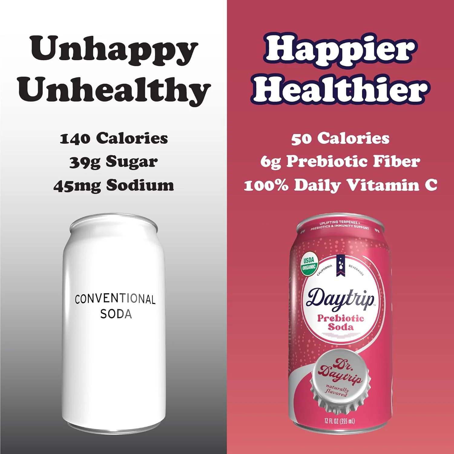 Organic Prebiotic Dr. Daytrip Soda (12 CT) - Image 4