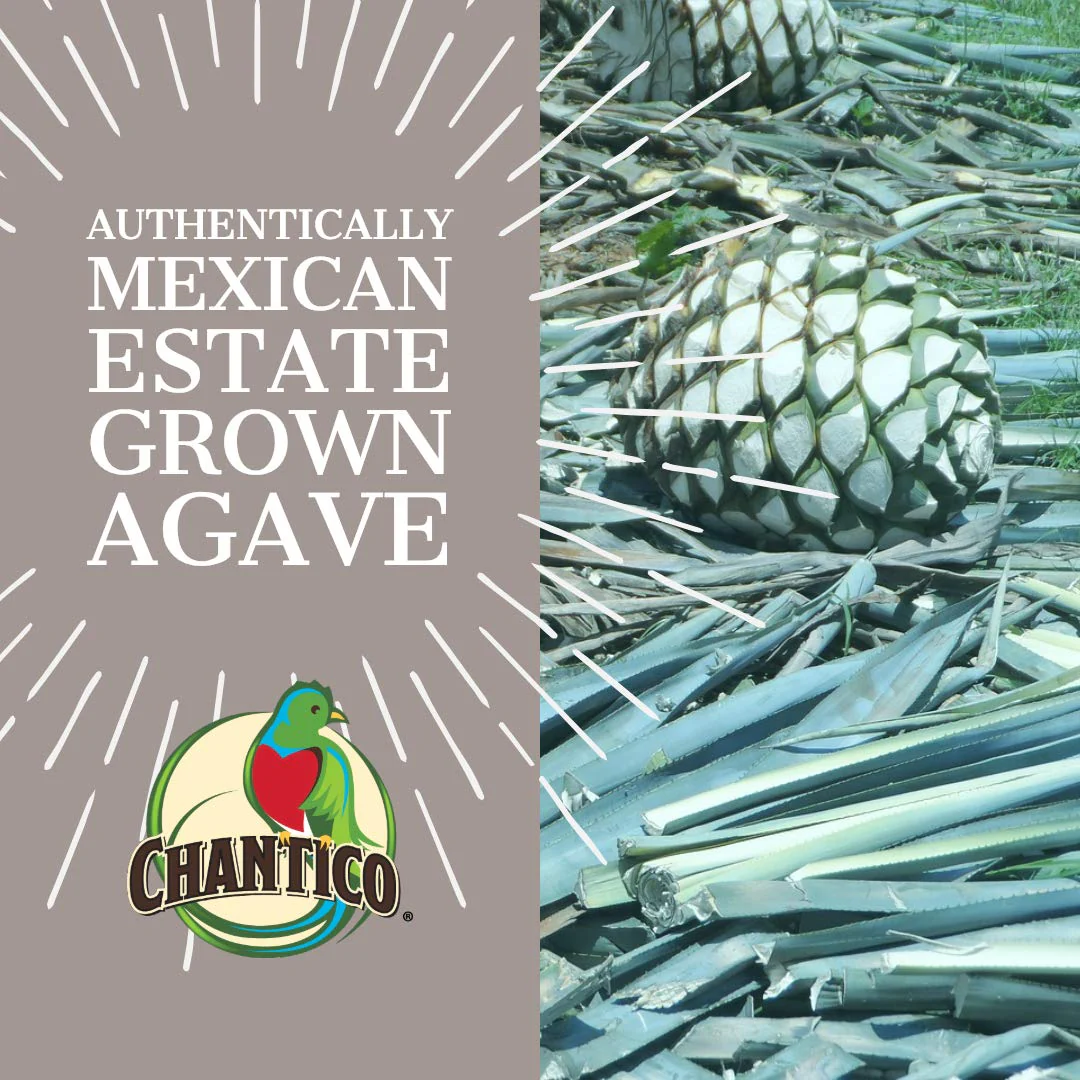 Organic Wild Agave Syrup Sweetener - Image 2