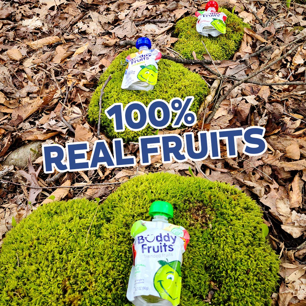 Originals Apple and Blueberry Fruit Pouch (18 Pack) - Image 4