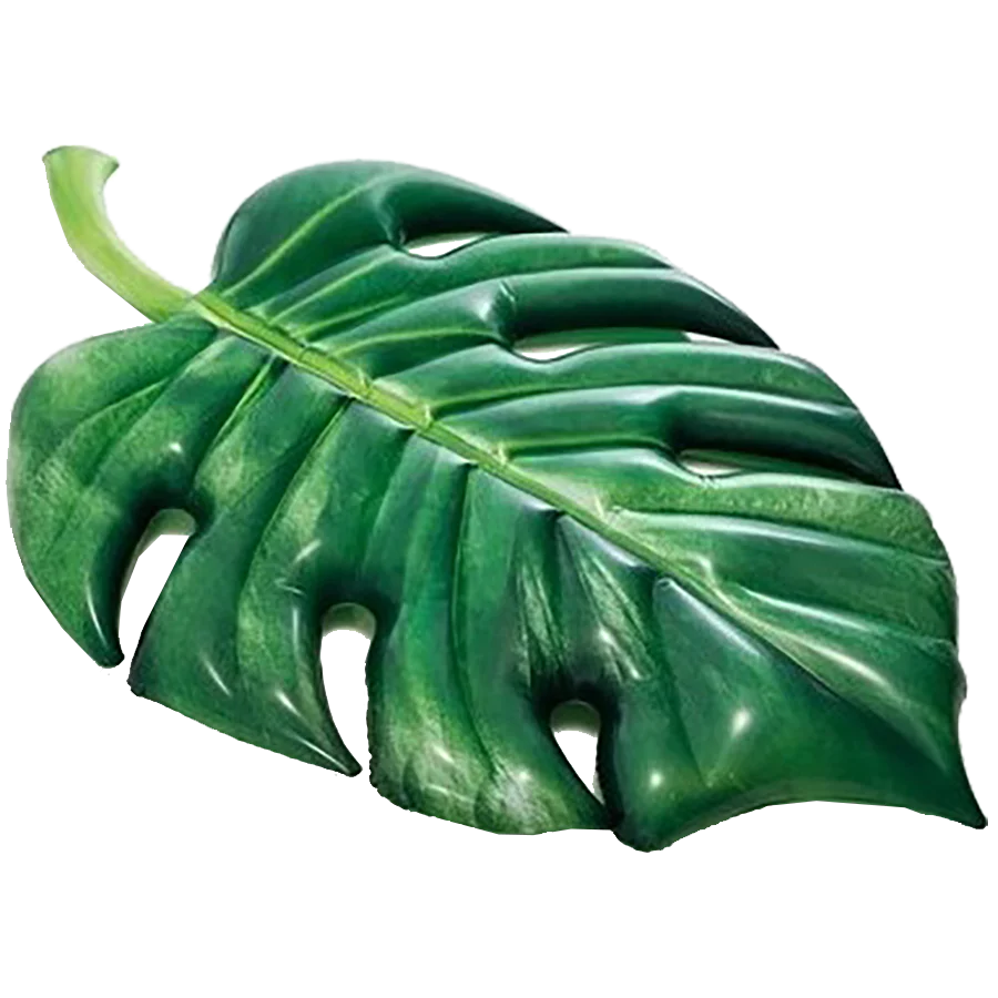 Palm Leaf Mat
