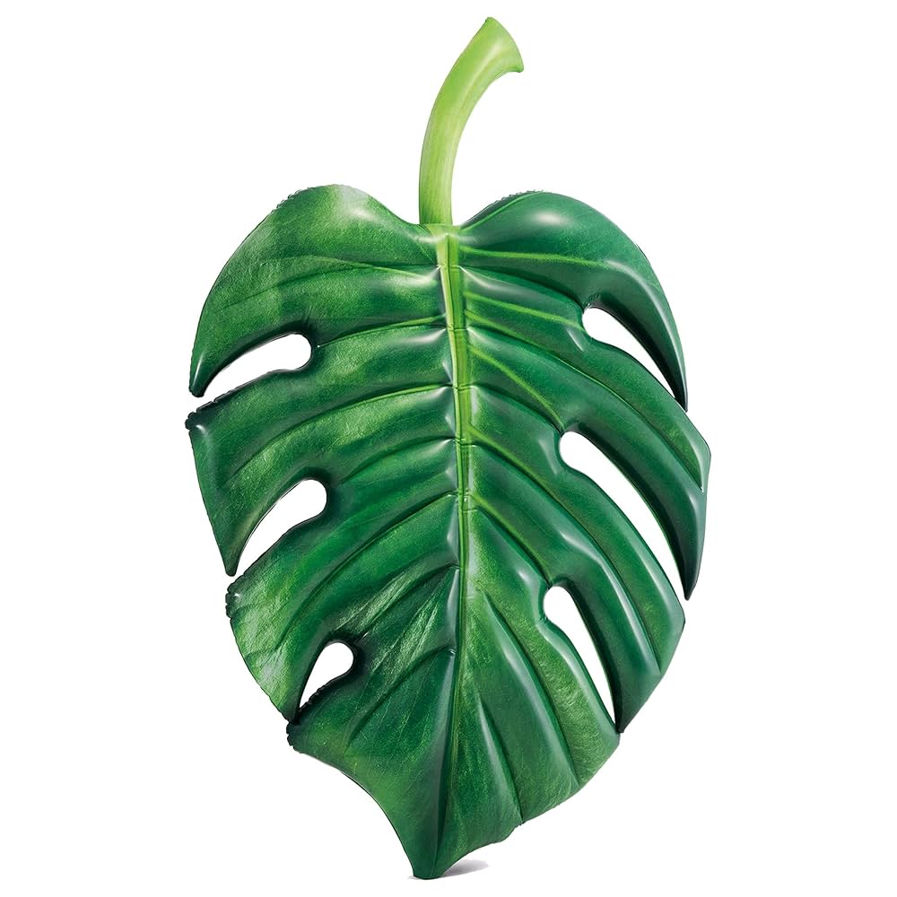 Palm Leaf Mat - Image 5