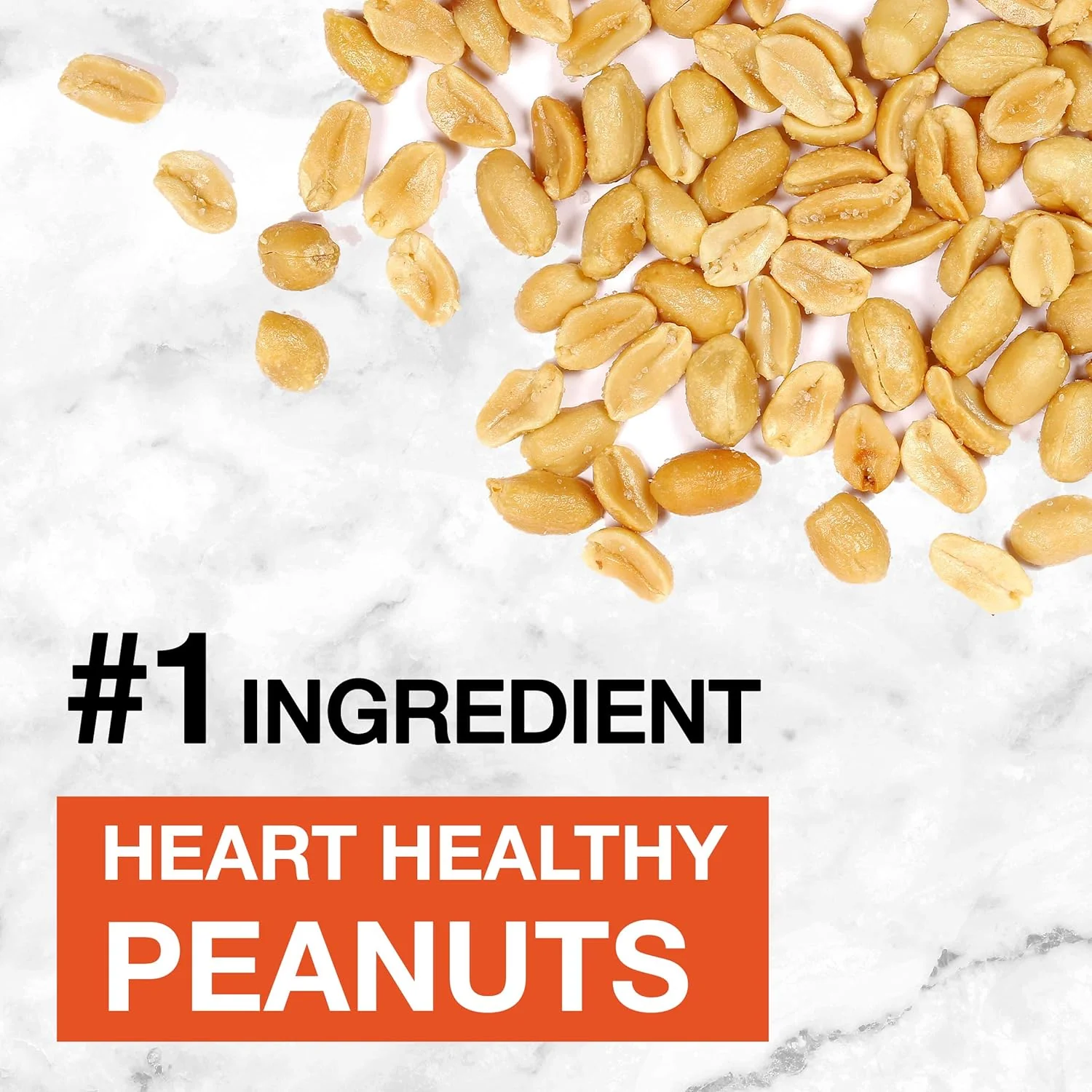 Peanut Butter Dark Chocolate Bars (6 CT) - Image 2