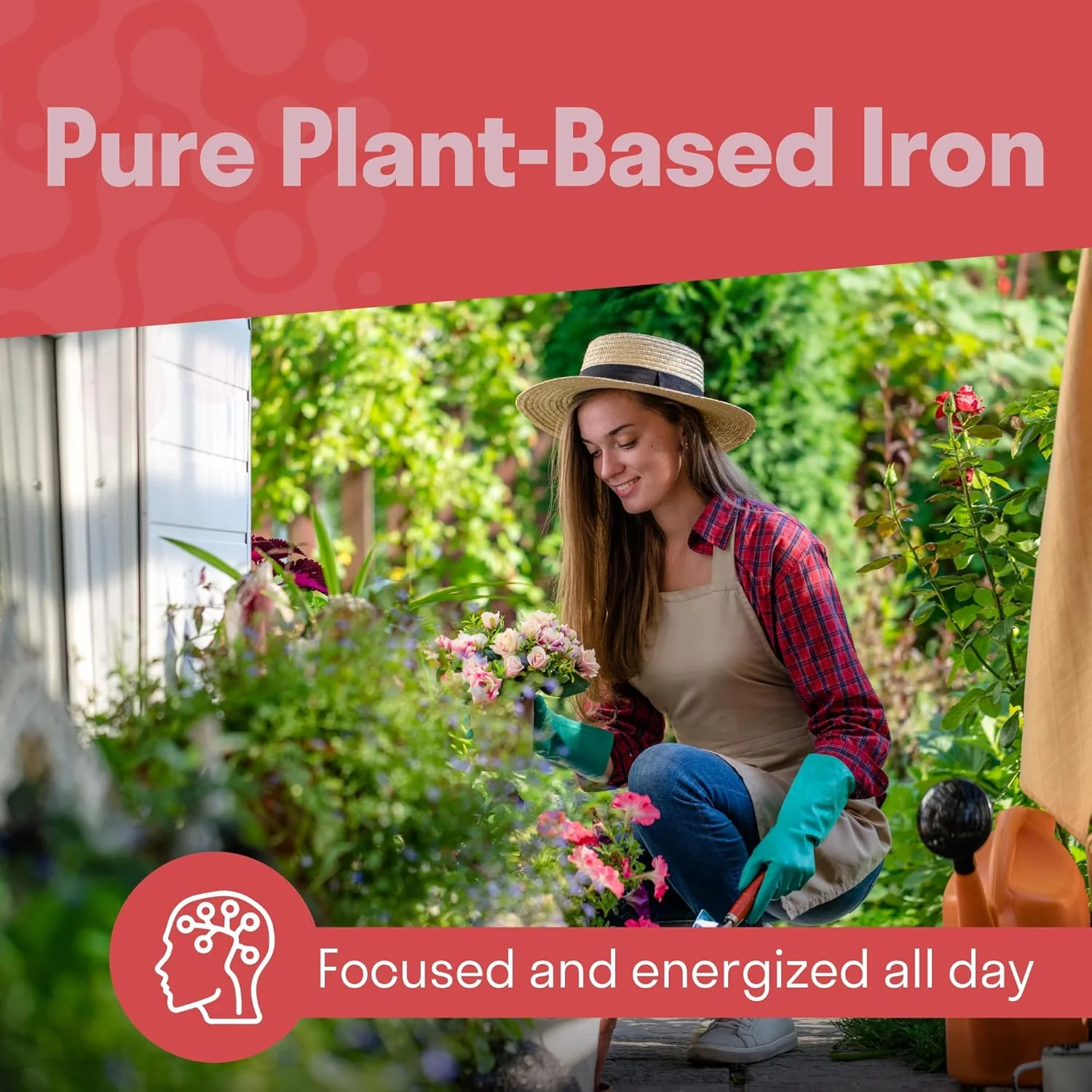Plant-Based Ferritin Iron - Image 4