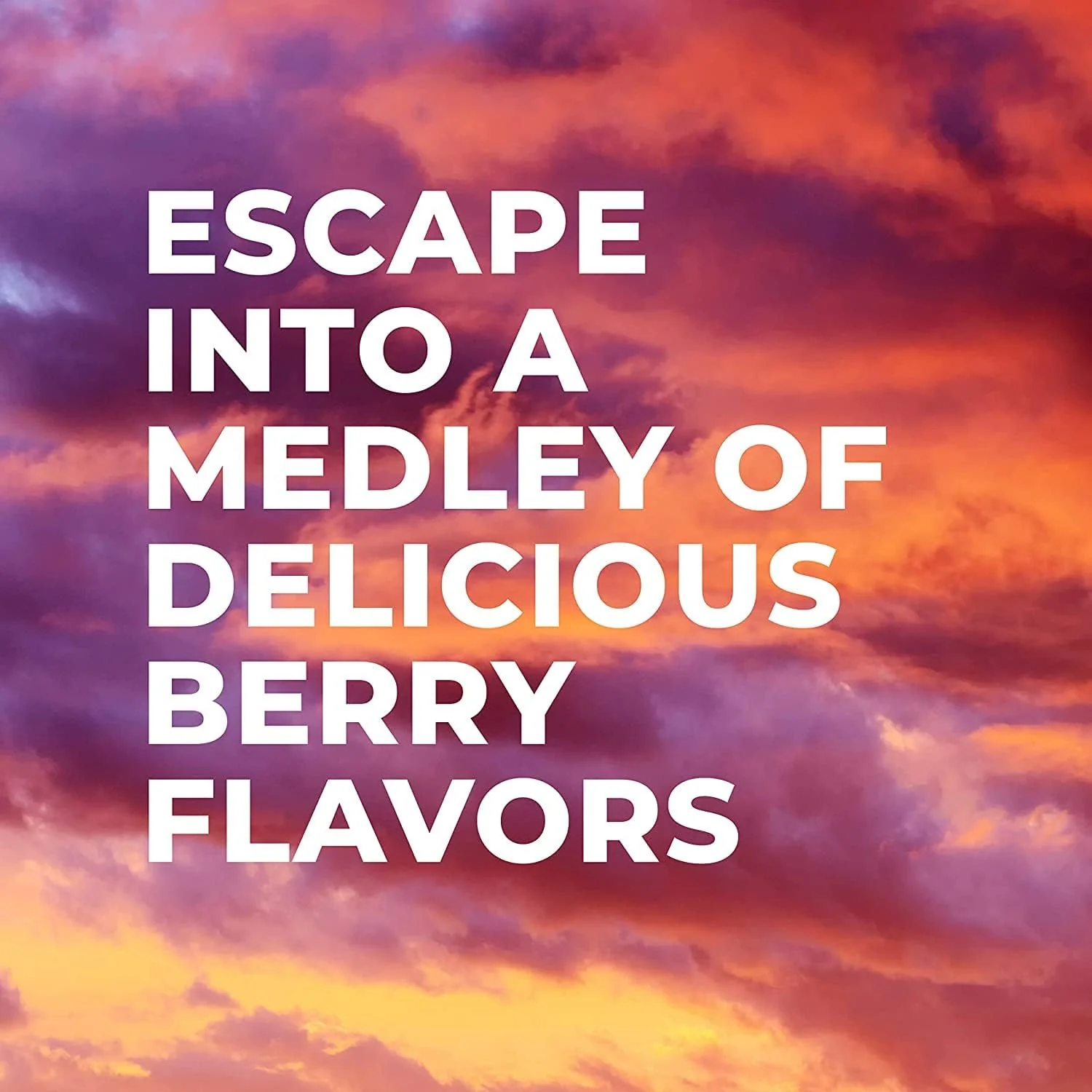 Plant-Based Protein Powder - Berry Medley - Image 2