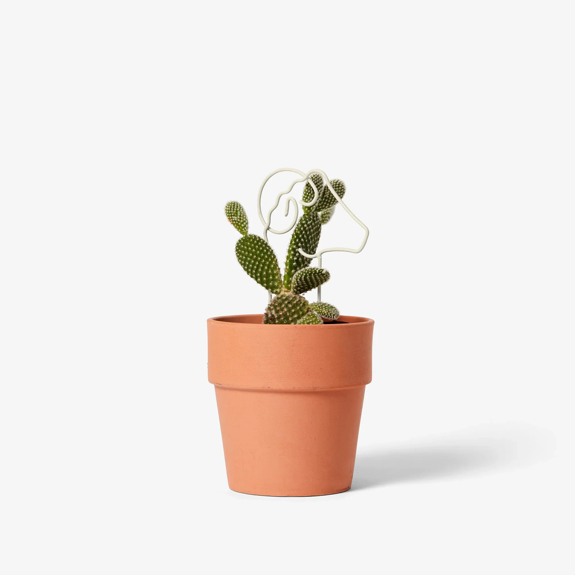 Plant Trellis - Ram (Tall) - Image 2