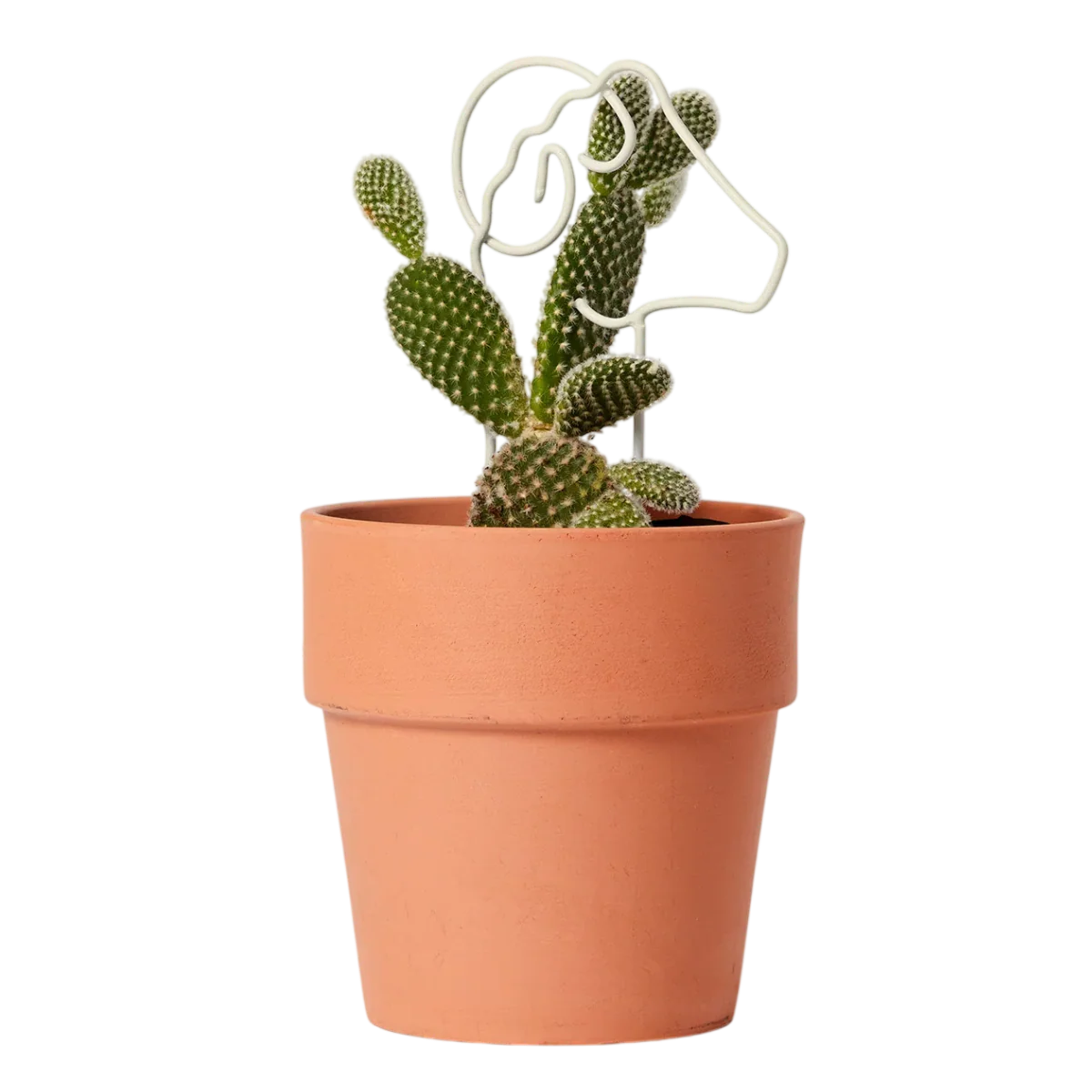 Plant Trellis - Small Ram - Image 2