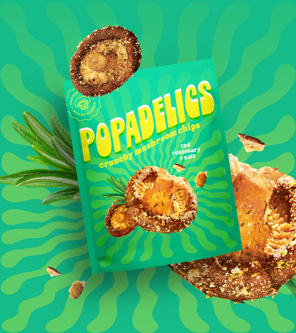 Rad Rosemary & Salt Crunchy Mushroom Chips (6 CT) - Image 4