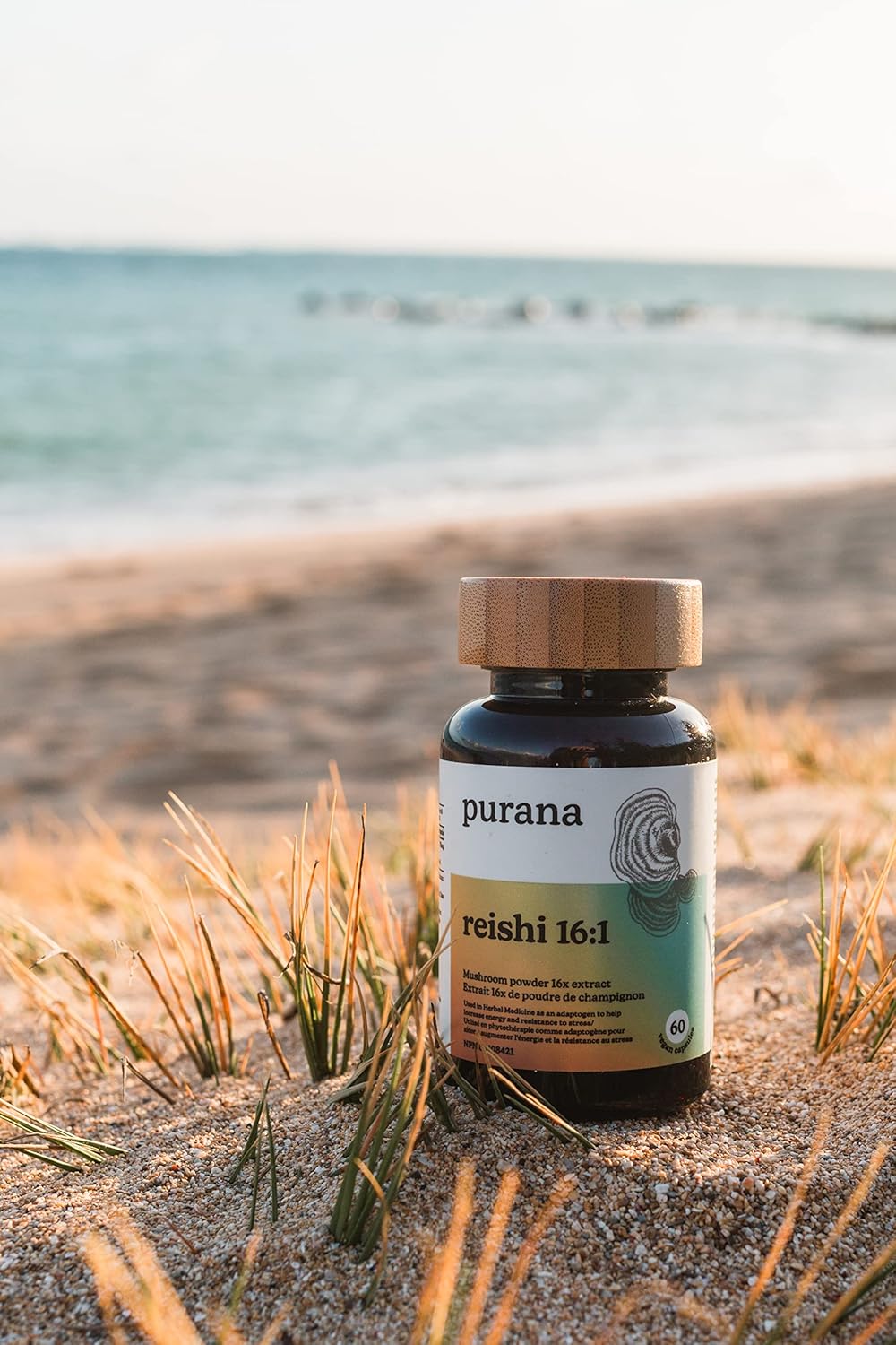 Reishi 16:1 Extract (60 Capsules) - Image 3