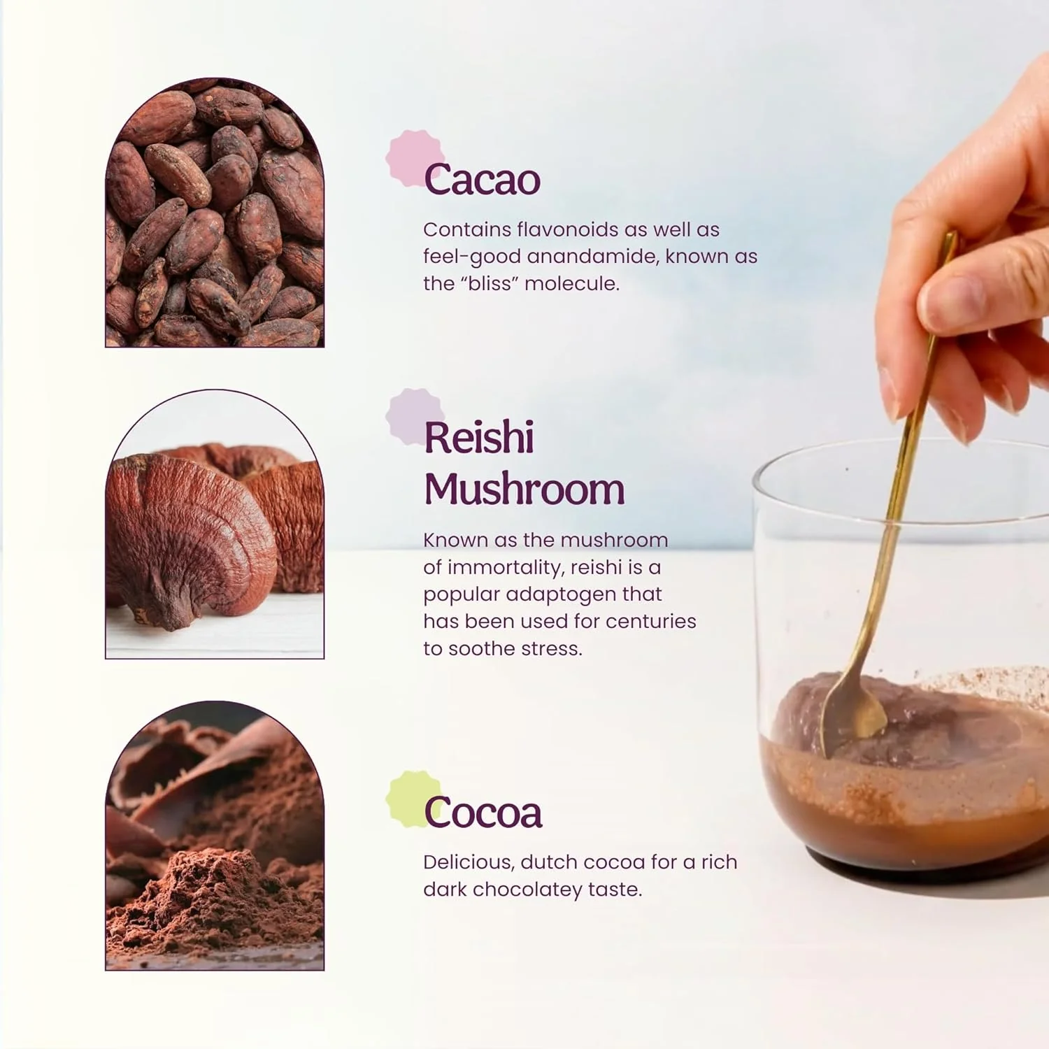 Reishi Cocoa Superfood - Image 4