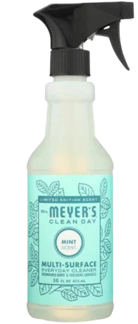 Mint Multi-Surface Everyday Cleaner