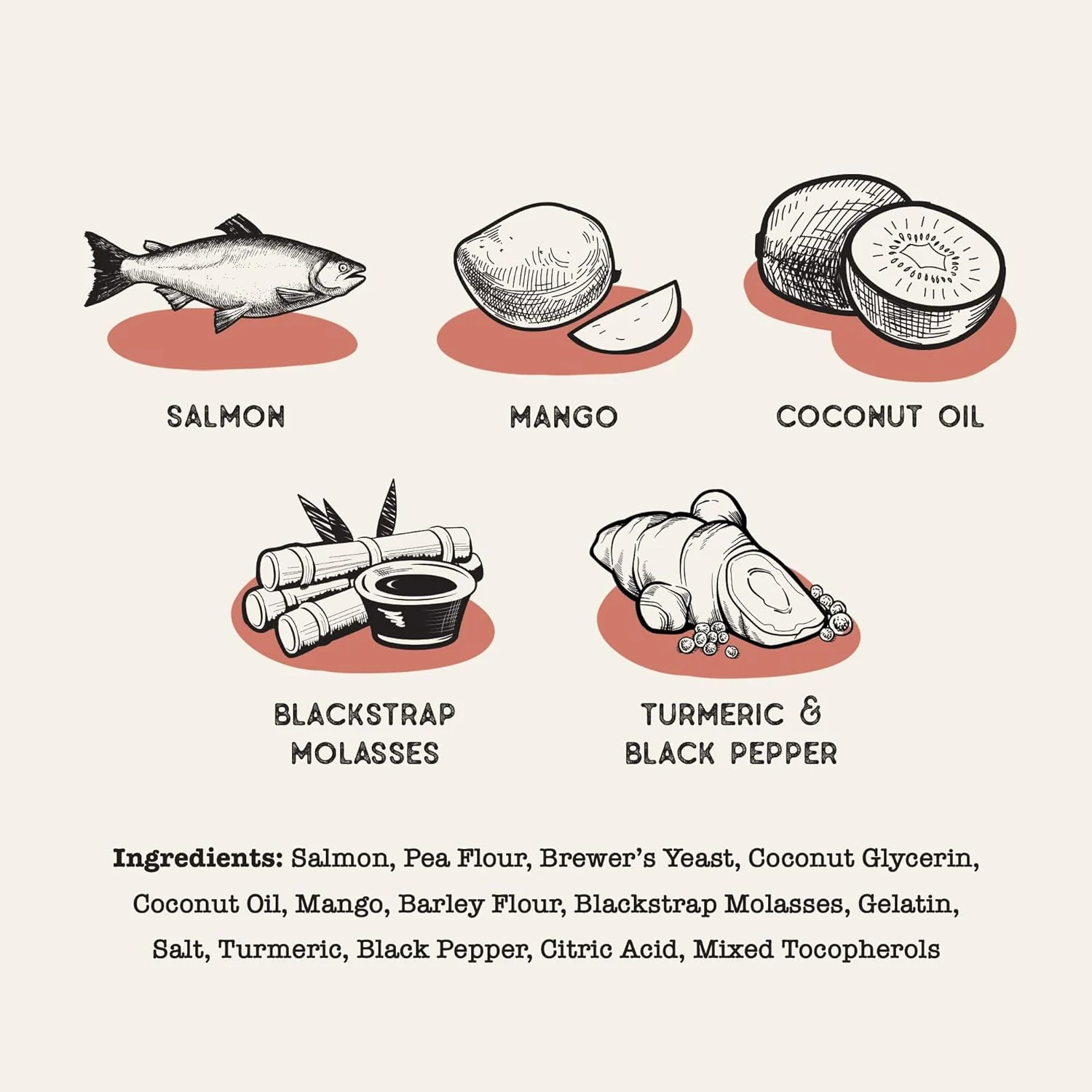Salmon & Mango Superfood Dog Sticks - Image 2
