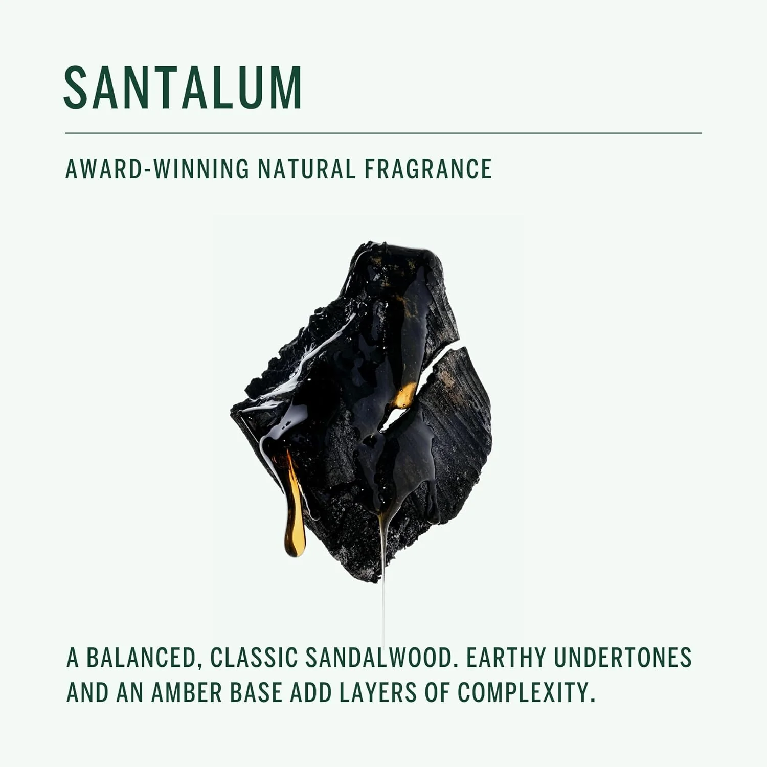 Santalum Natural Body Wash - Image 4