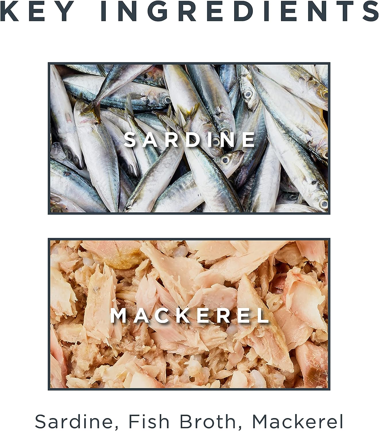 Sardine With Mackerel Cat Food - Image 2